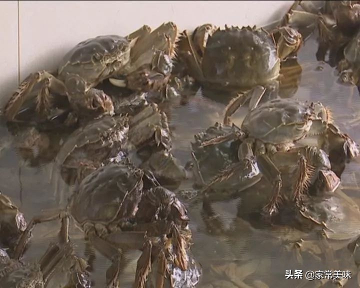 全国哪里的大闸蟹最好吃？中国十大大闸蟹排行榜，看看你吃过几种