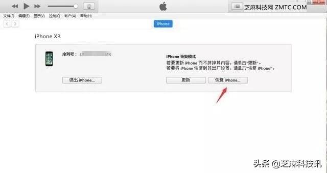 苹果如何进入dfu模式（iPhone11怎么进入DFU模式）(4)