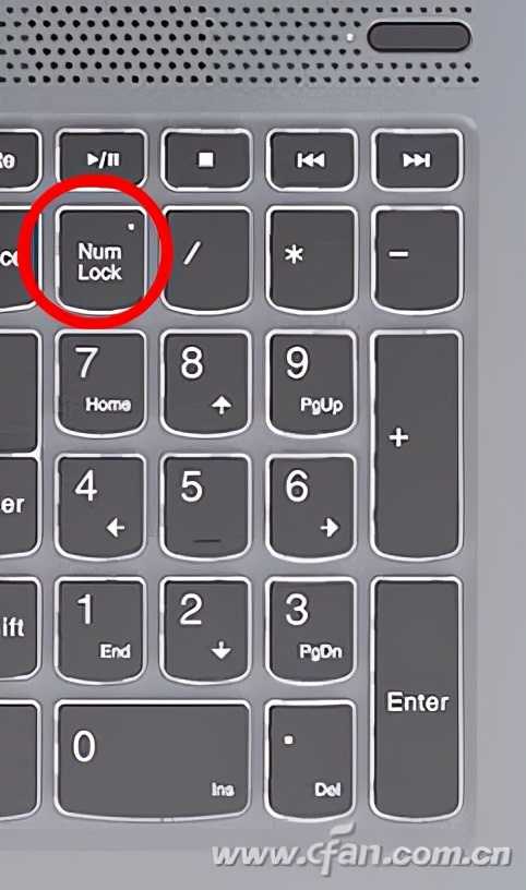 笔记本的小键盘数字键不能用（笔记本的数字小键盘重要吗）(4)