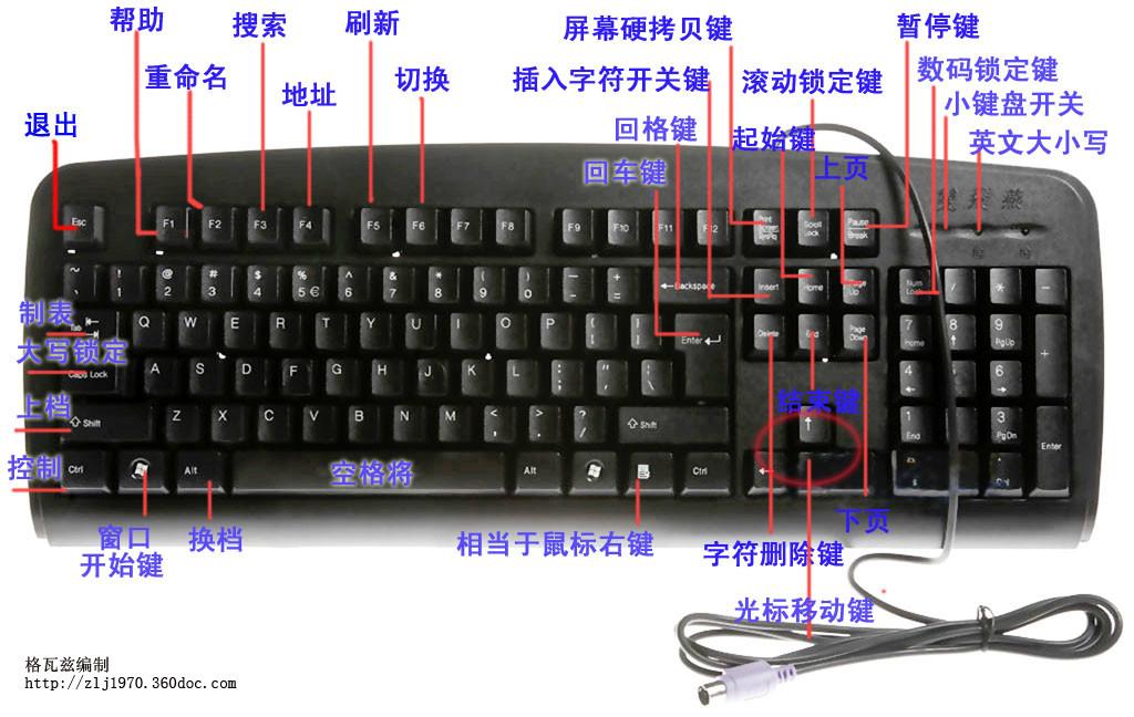 键盘的详细解（帮你零基础学电脑）