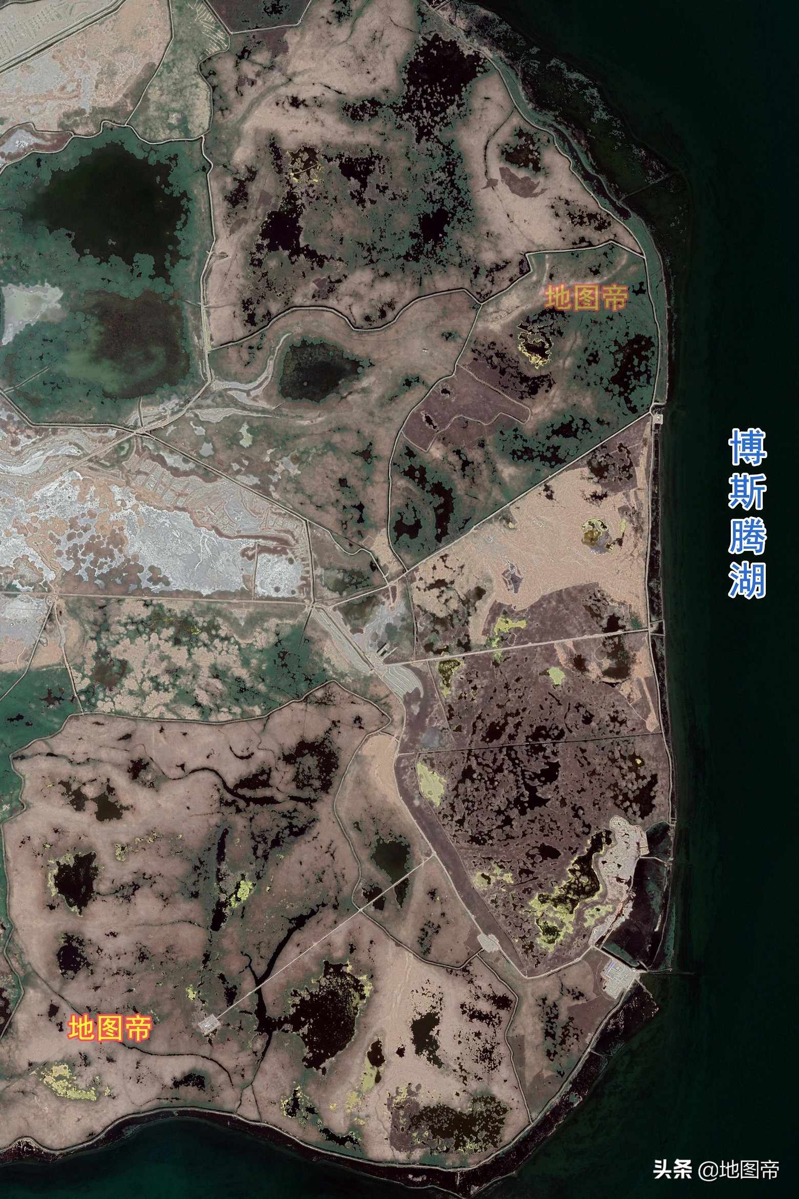 我国面积最大的内陆淡水湖，是新疆的博斯腾湖？