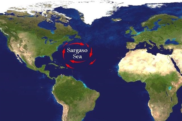 马尾藻海地理位置图片
