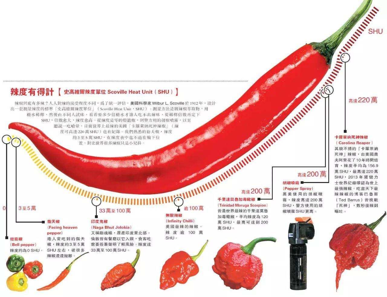 世界上最辣的辣椒，厨师都不敢用手触摸，辣度堪比生化武器