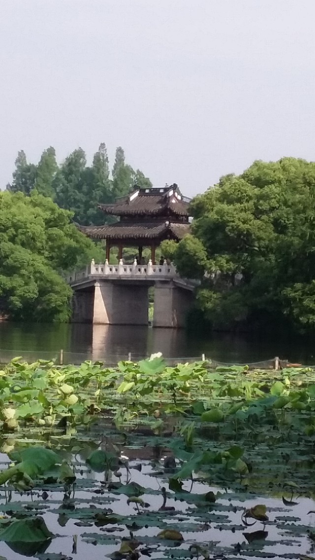 我的中国行(一五八)丨浙江省杭州市西湖风景名胜区