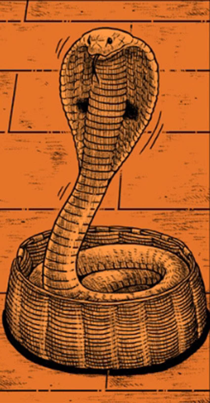 它是世界上最大的毒蛇，最长可达6米，最大的天敌竟然是自己