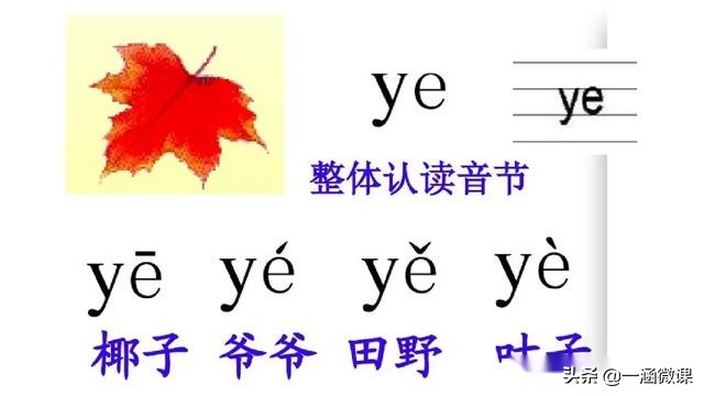 幼小衔接-小学汉语拼音—整体认读音节图文解析