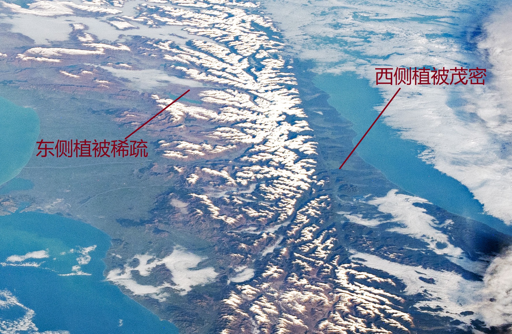 绵延数百千米的南阿尔卑斯山脉，是新西兰南岛的“白色脊梁”