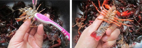小龙虾怎么才能处理干净，附：小龙虾的清洗方法图解！