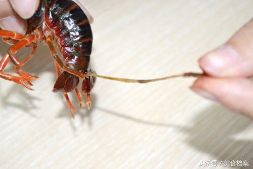 小龙虾怎么才能处理干净，附：小龙虾的清洗方法图解！