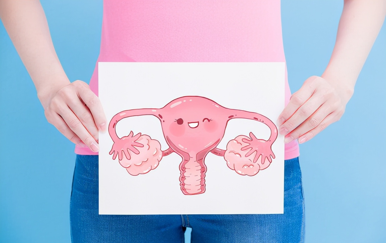 图6-1 正常子宫声像图-临床医学-医学
