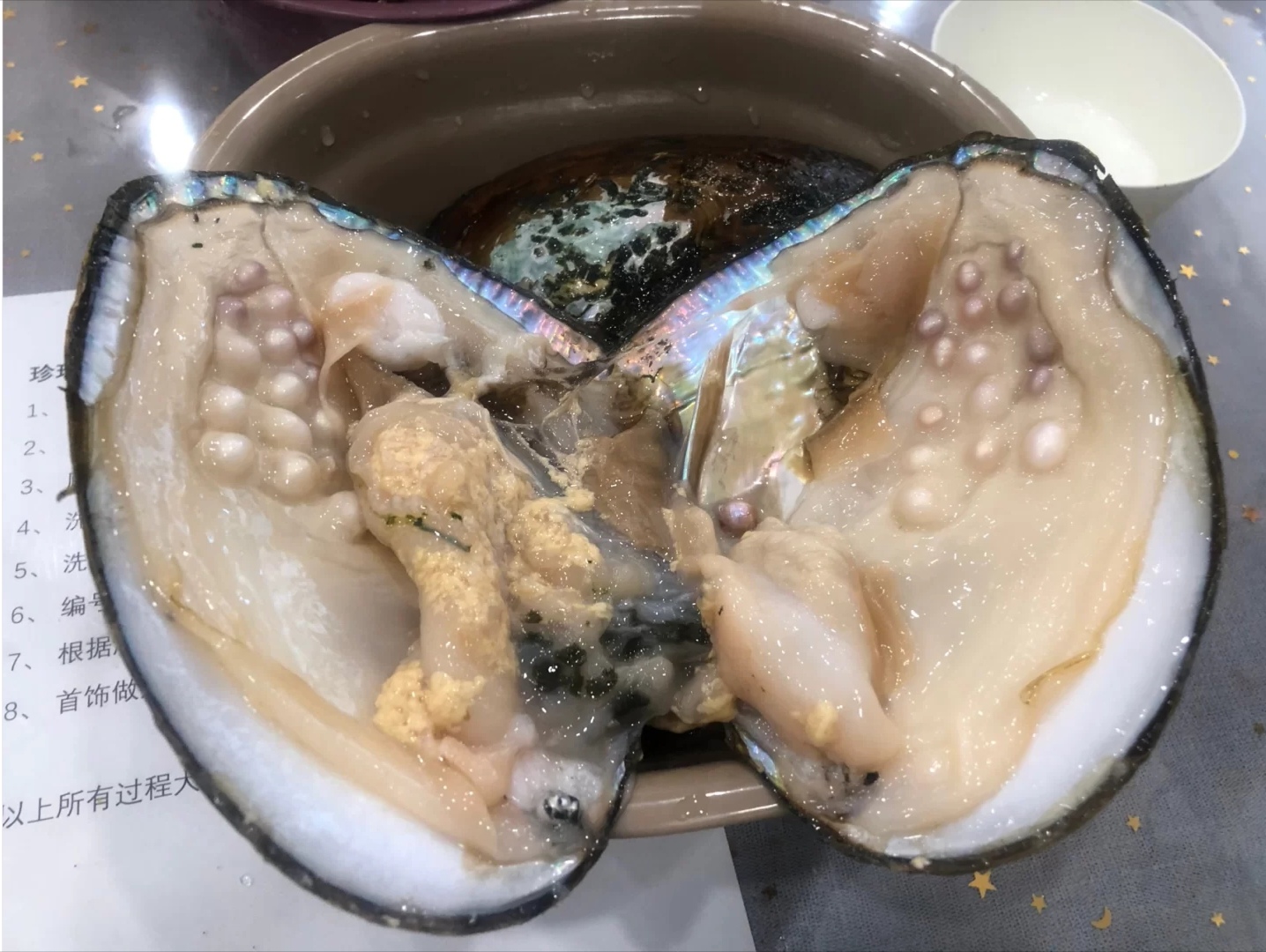 珍珠蚌（壳顶部刻纹常为同心圆型的蛤类）_尚可名片