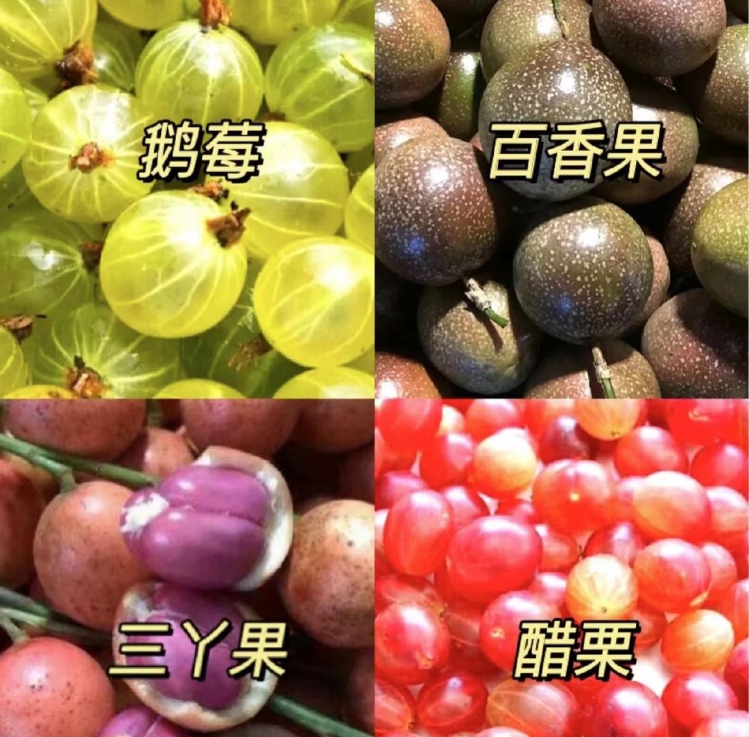 海南特色水果（海南有什么水果好吃）_环球信息网