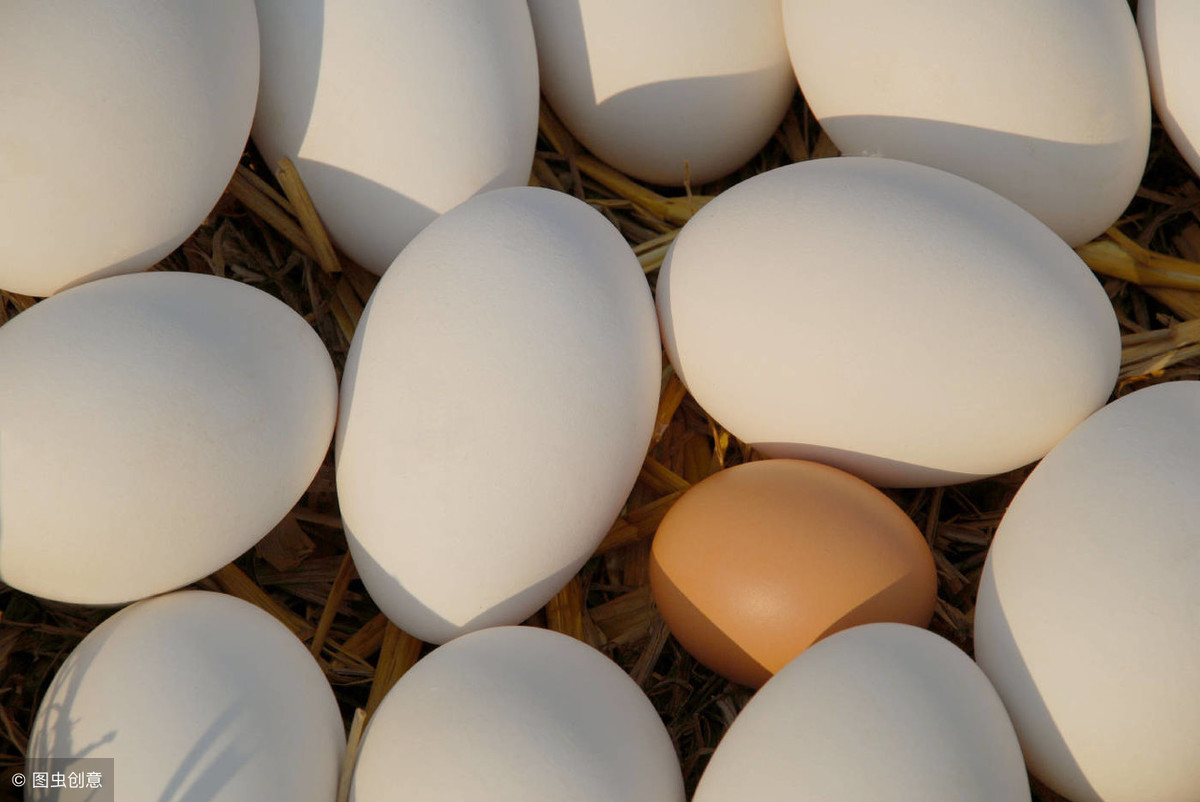 双黄鹅蛋都是假的吗，为什么网上一卖鹅蛋就是双黄的？是假的吗？