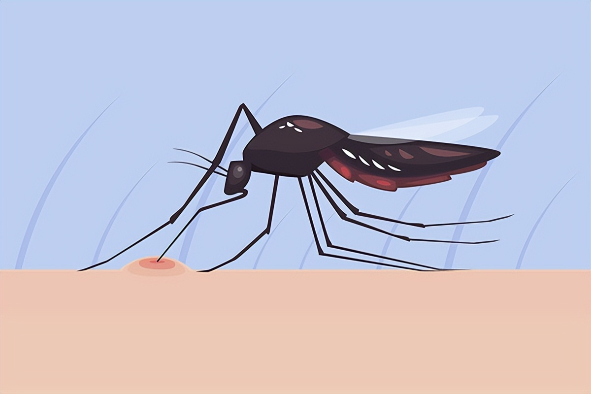 【昆蟲冷知識】為何蚊咬這樣痕 - Beginneros | 網上學習平台