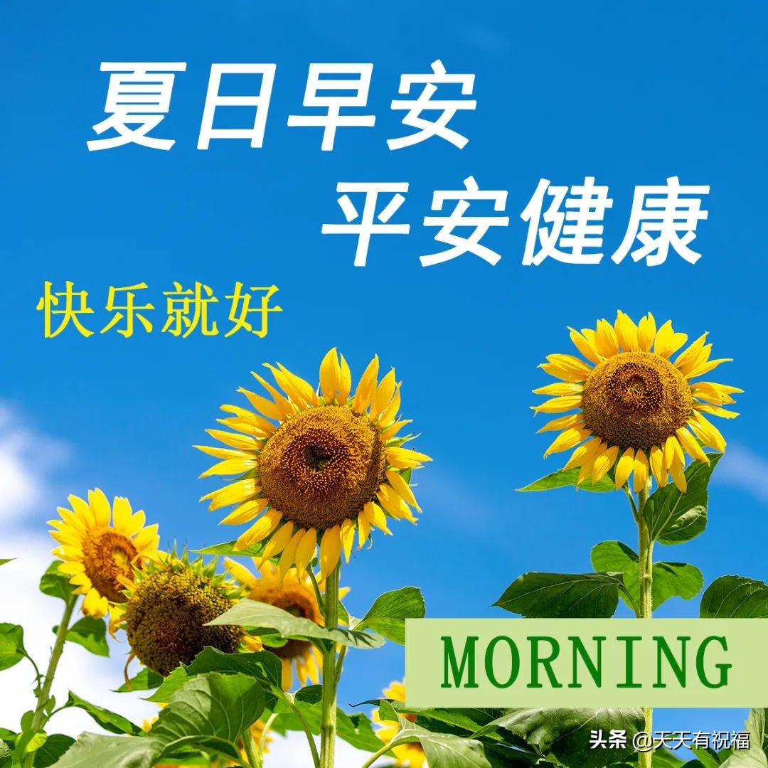 5月9日周二早上好清晨暖心祝福语图片问候语 - 哔哩哔哩