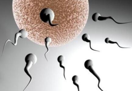 精子少怎么办（精子数量少该如何治疗？医生：不同原因治法不同）