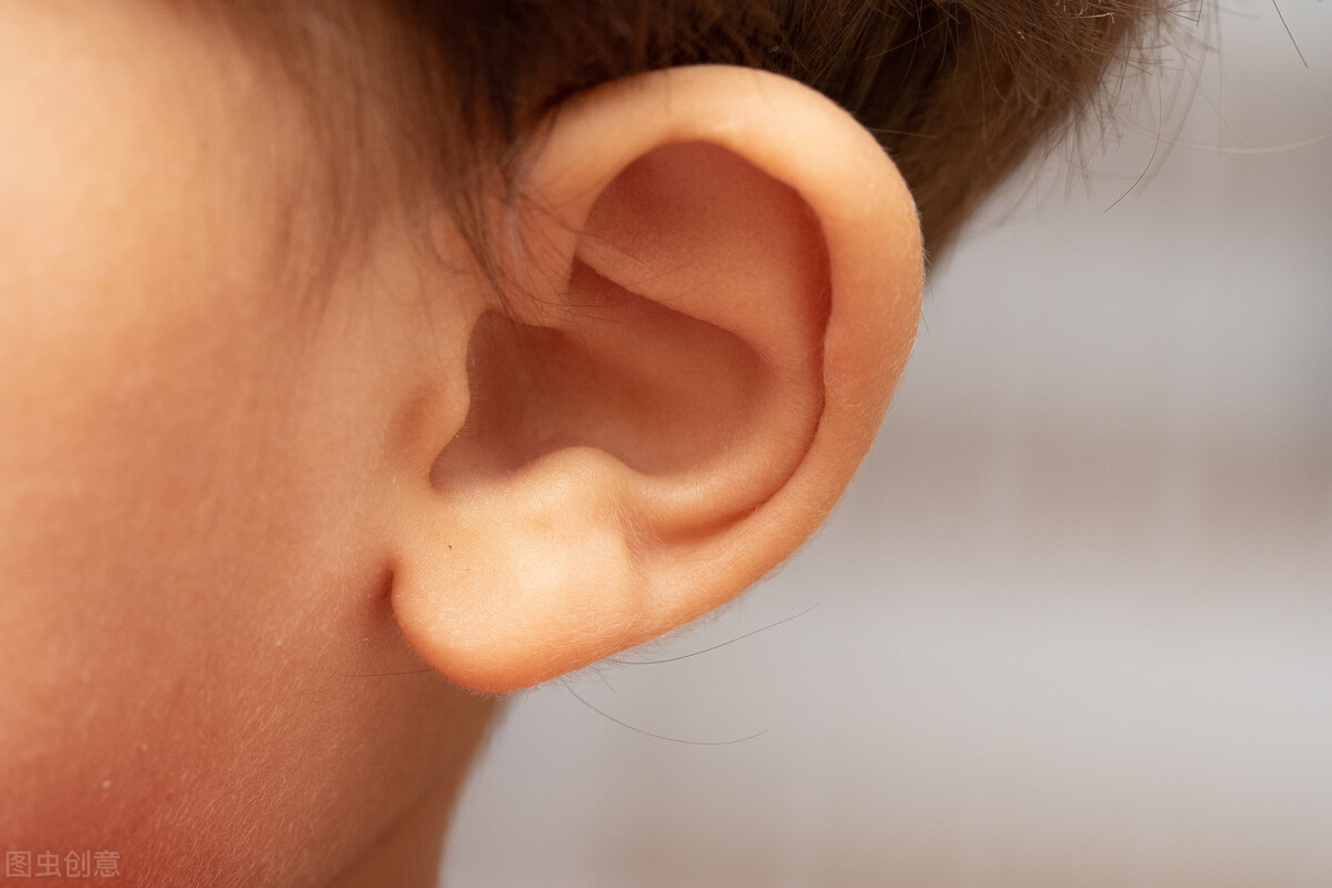 狗狗外耳炎严重会影响听力？并非危言耸听，兽医：预防是重中之重_耳朵