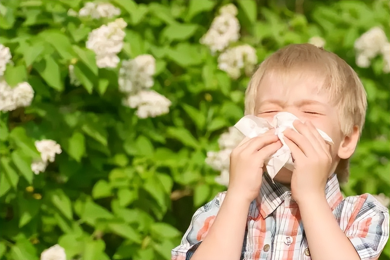 过敏性鼻炎怎么治疗（过敏性鼻炎应该怎么治疗呢？）