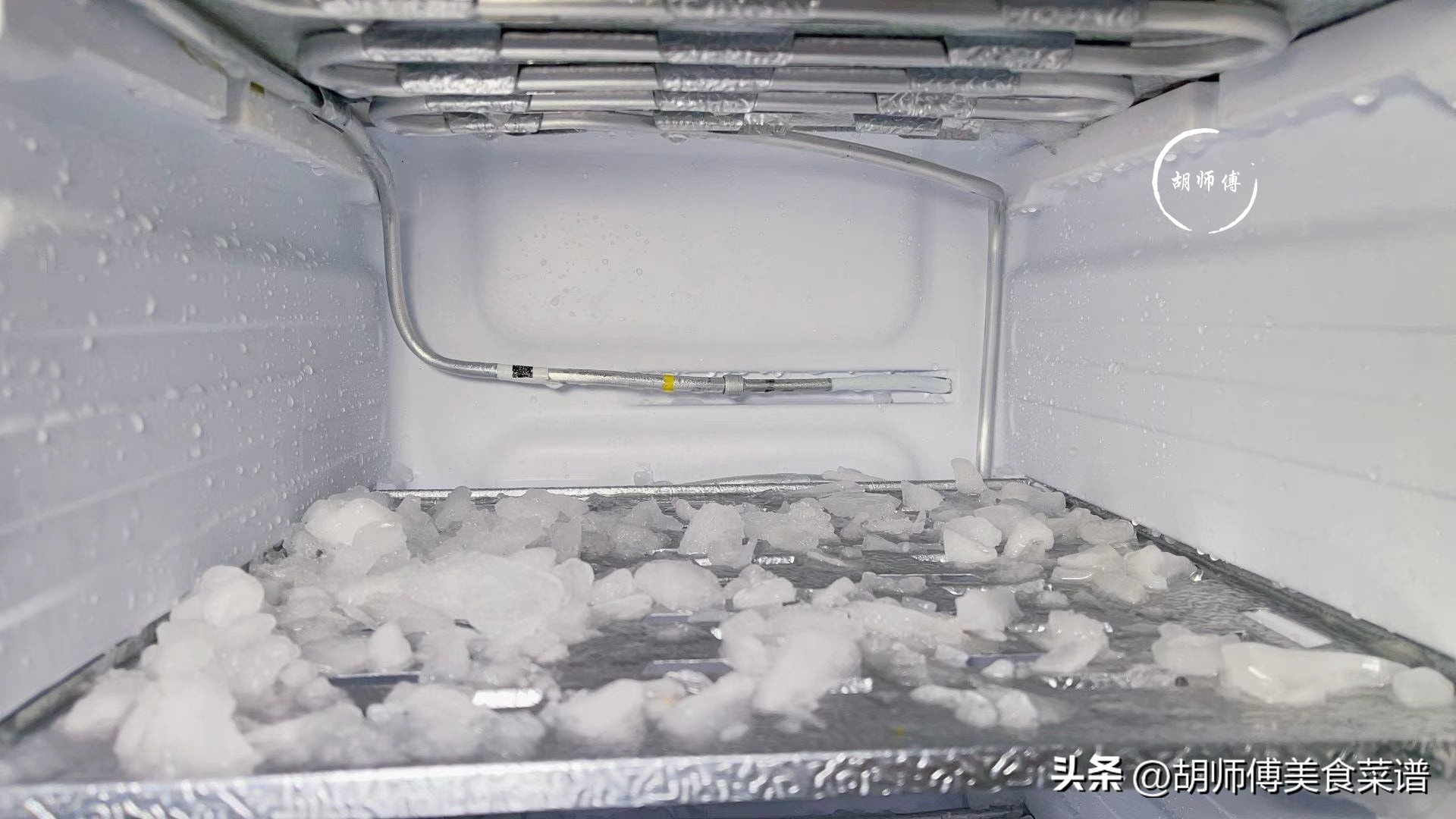 冬天什么蔬菜可以在冰箱储存 生活