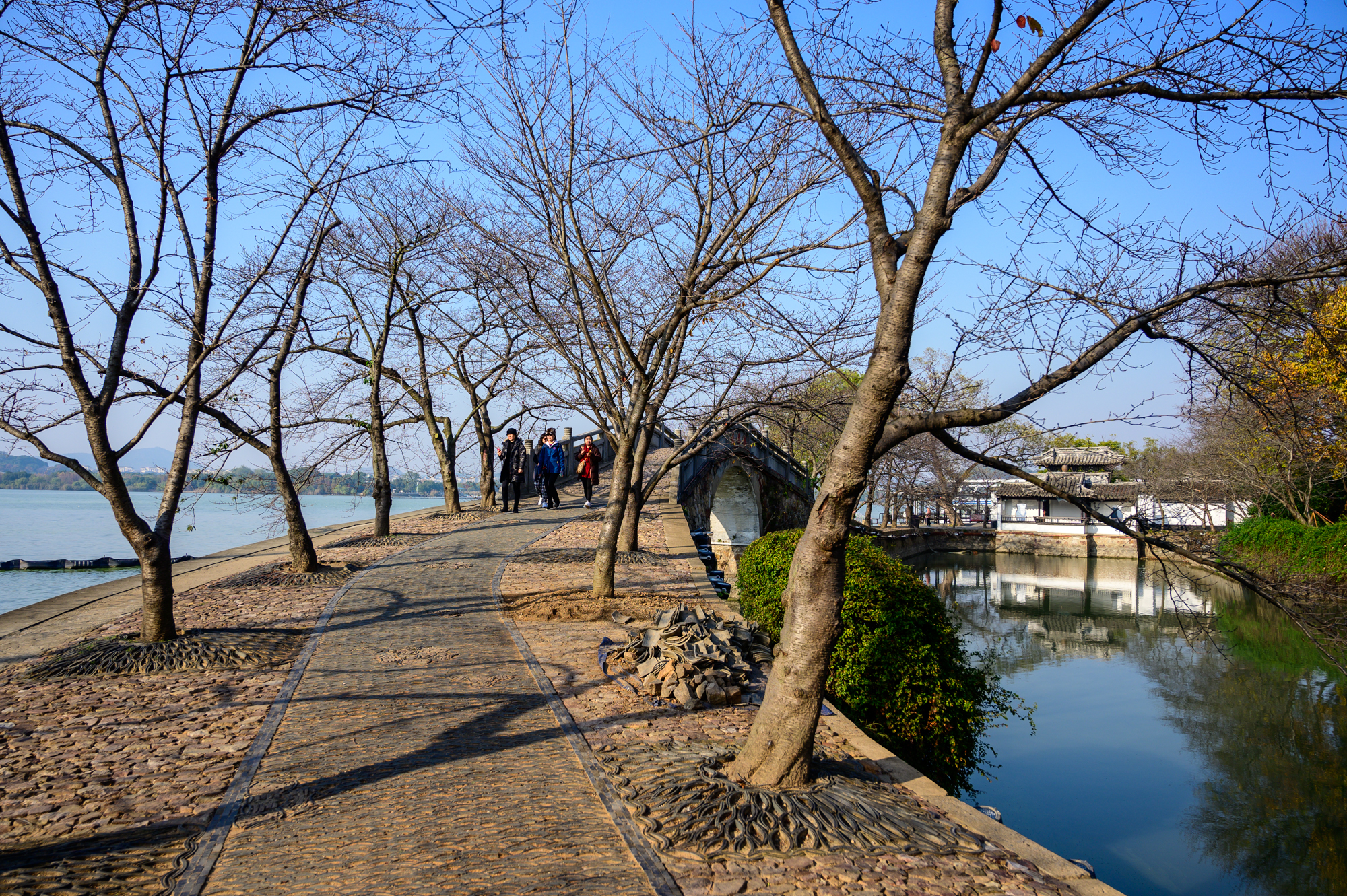 江苏有什么好玩的：这3个城市，风景优美交通发达，你都去过吗？